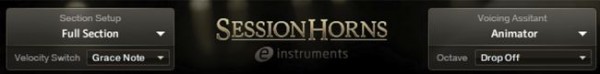 NI Session Horns Test