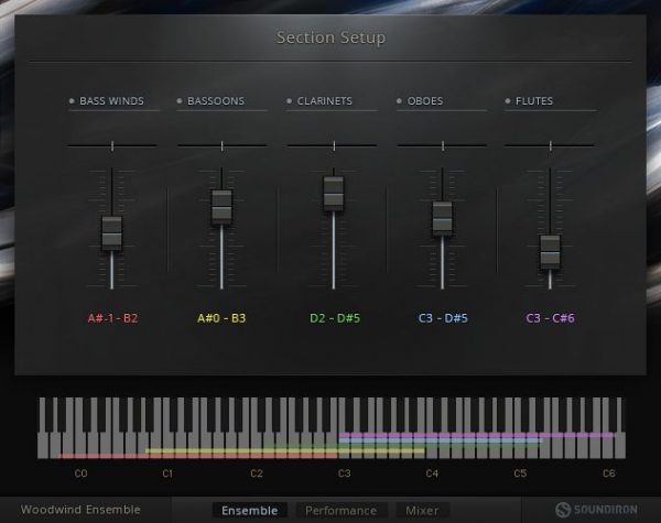 NI Symphony Series Woodwind Ensemble Screenshot Section SetupMain