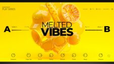 Perfekte Hook mit Native Instruments MELTED VIBES