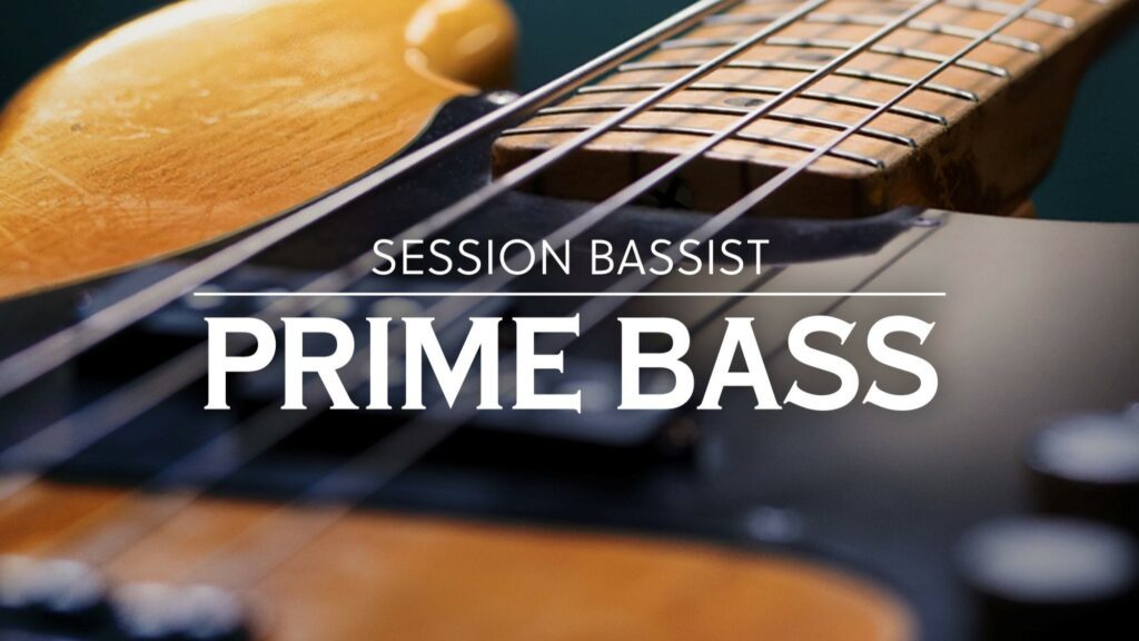 NI Session Bassist - Prime Bass